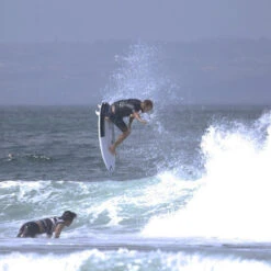 FCS Shop 9 FCS Shop -FCS Shop Buy Annesley Bullshark Surfboard Online Australia Action 35012.1588764150